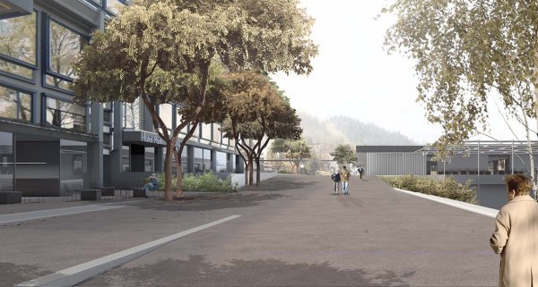 Jezerska promenada na Bledu