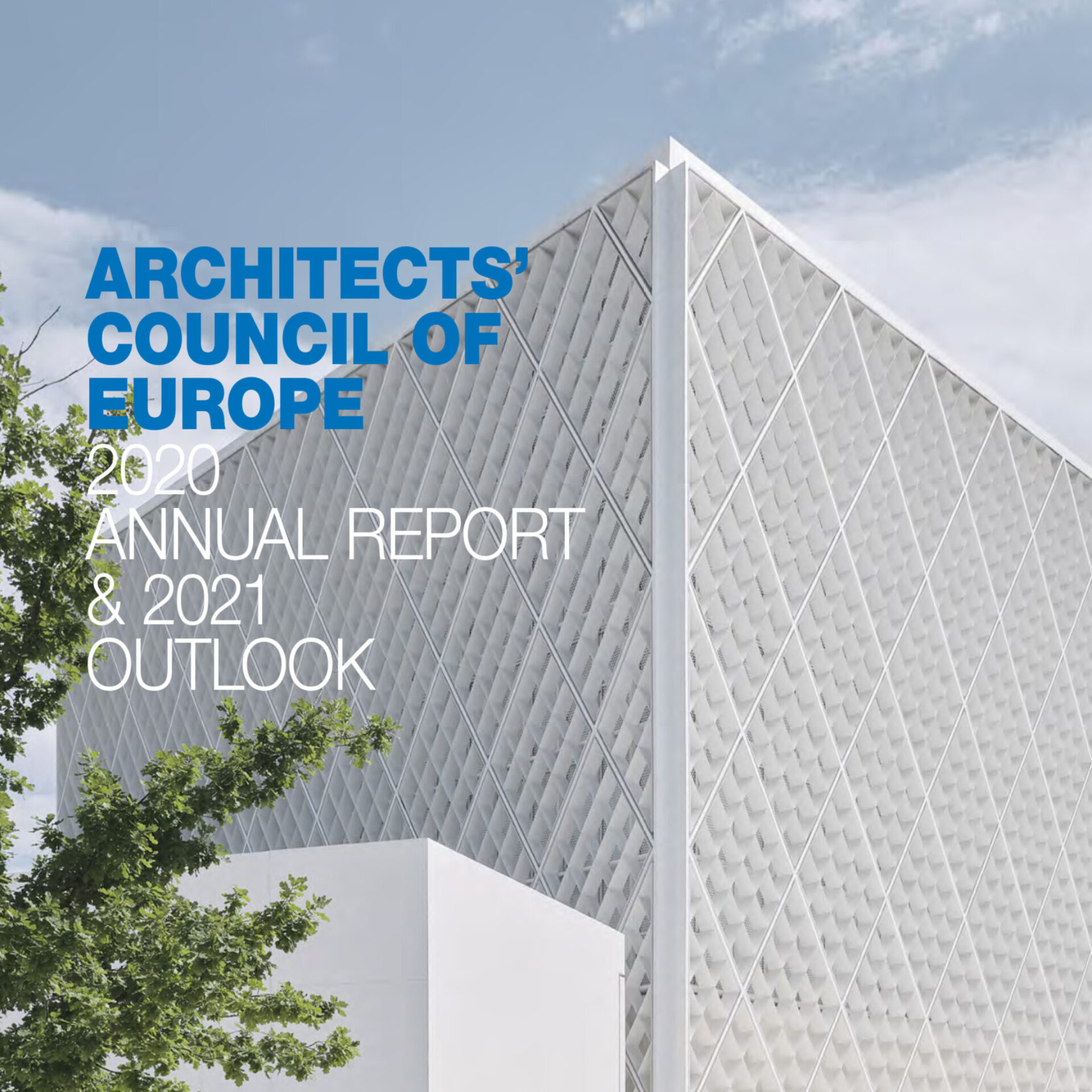 ACE letno poročilo 2020 in napoved za 2021