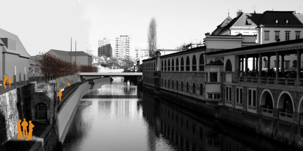 Nenagrajeni: 73719_B08