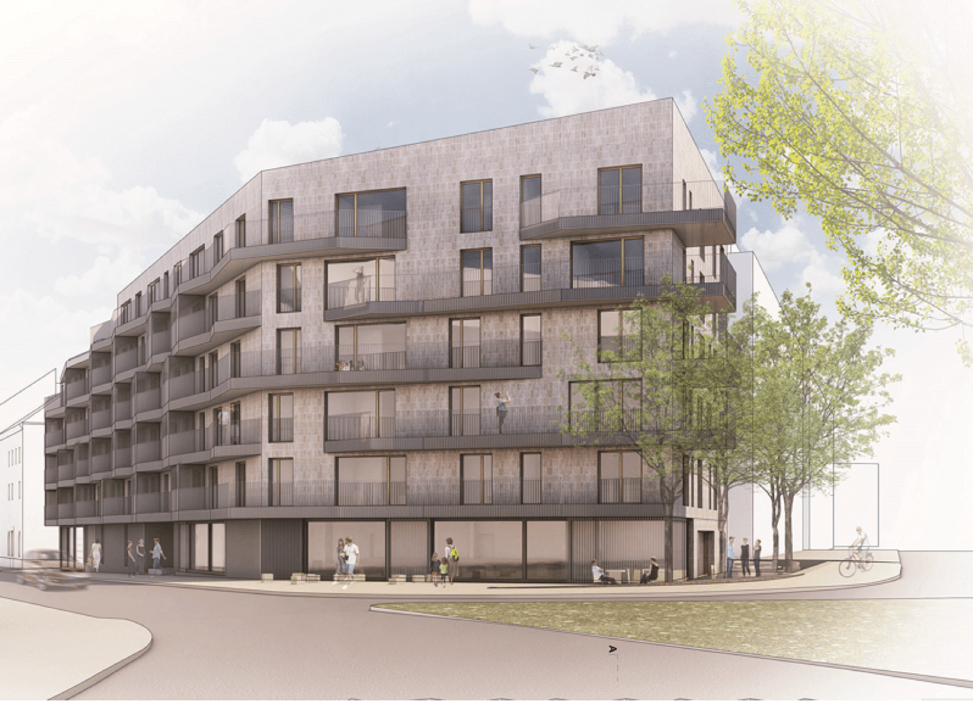 Nenagrajeni: BP312_8